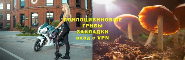 хмурый Волоколамск