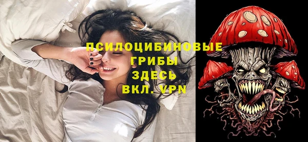 крисы Володарск