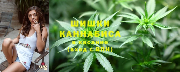 спиды Верея